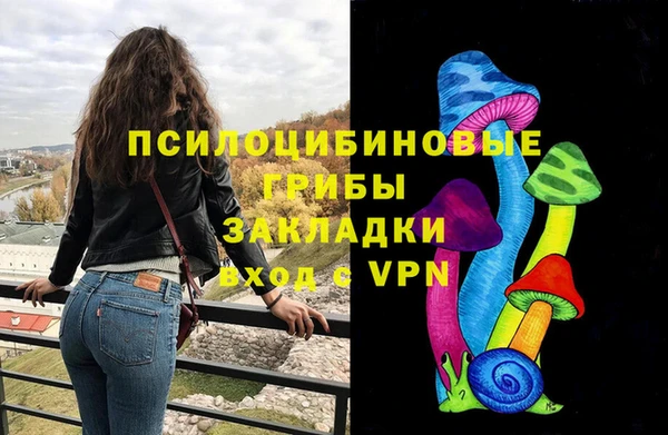 спиды Осташков