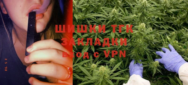 молекула духа Пересвет
