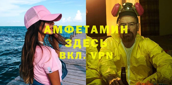 молекула духа Пересвет