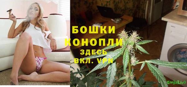 молекула духа Пересвет
