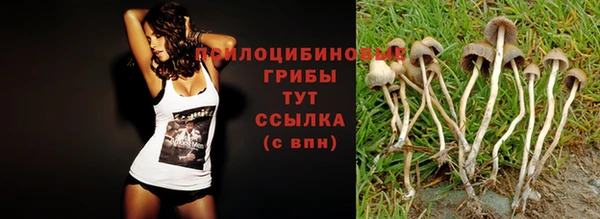 герыч Пестово