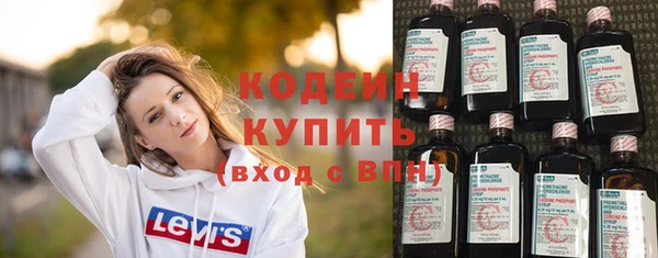 молекула духа Пересвет