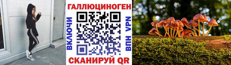 блэк спрут как зайти  цена   Шелехов  Псилоцибиновые грибы Psilocybine cubensis 